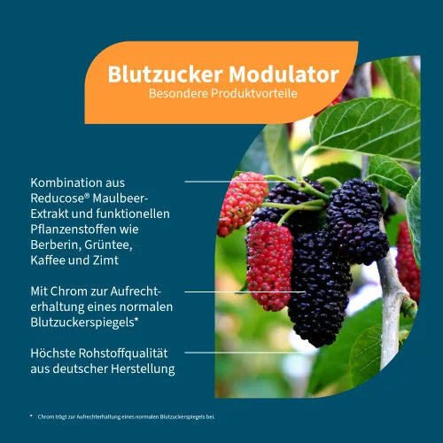 Blood Sugar Modulator Capsules 60 pcs