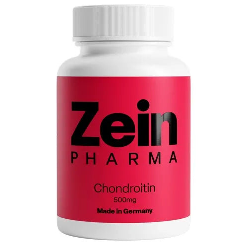 CHONDROITIN 500 mg capsules 90 pcs