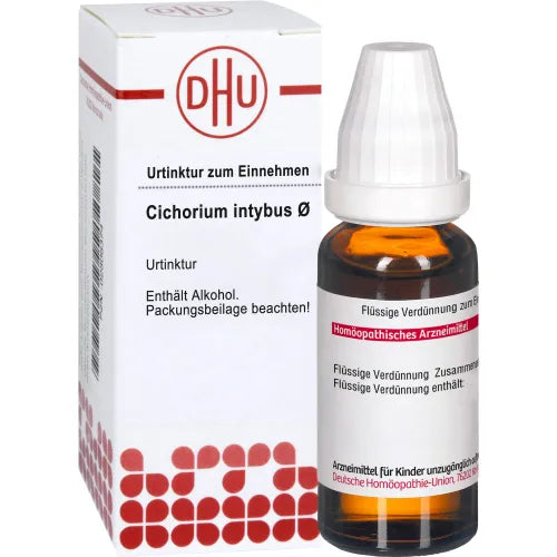 CICHORIUM INTYBUS mother tincture 20 ml