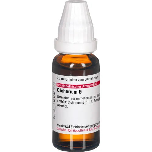 CICHORIUM INTYBUS mother tincture 20 ml