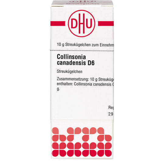 COLLINSONIA CANADENSIS D 6 globules