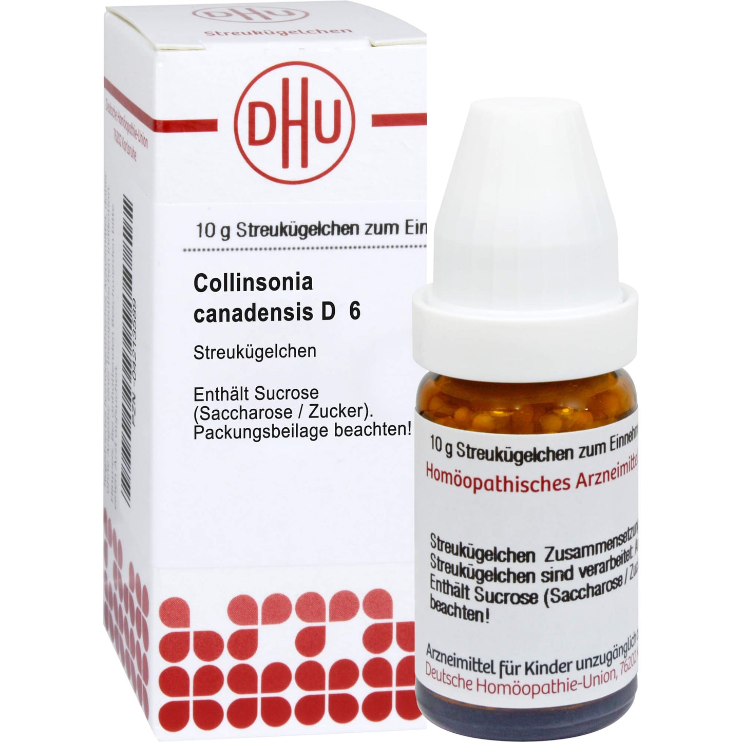COLLINSONIA CANADENSIS D 6 globules