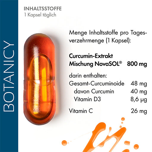 CURCUMA FORTE capsules