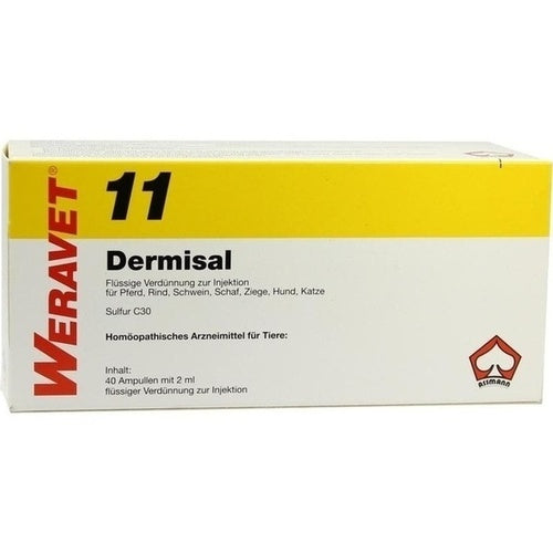 DERMISAL 11 ampoules vet.