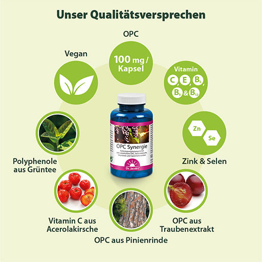 DR. JACOB'S OPC Synergy Capsules