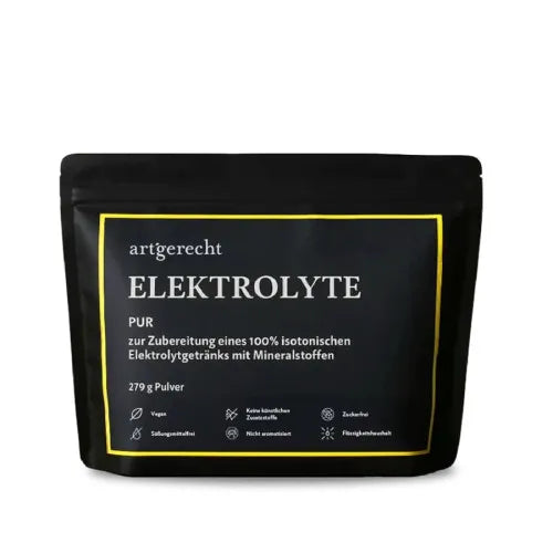 ELECTROLYTE powder 279 g
