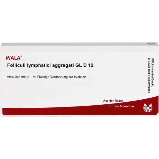 FOLLICULI LYMPHATICI aggregati GL D 12 ampoules