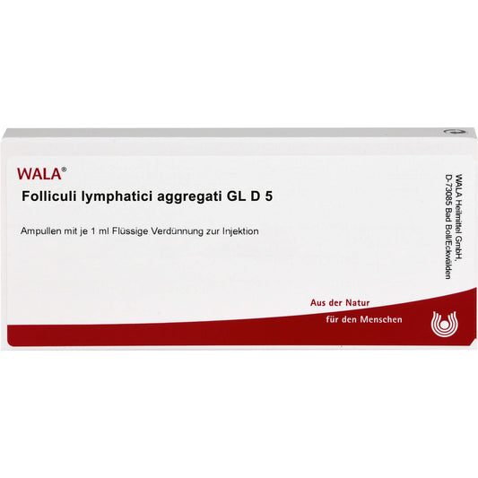FOLLICULI LYMPHATICI aggregati GL D 5 ampoules