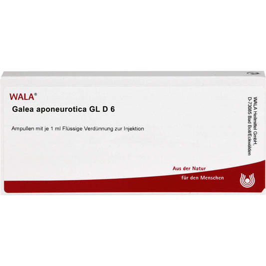 GALEA aponeurotica GL D 6 ampoules