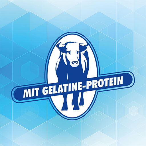 GELATINE BEEF Powder Can