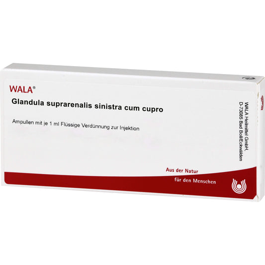 GLANDULA SUPRARENALIS sinistra cum cupro ampoules