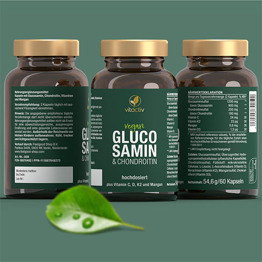 GLUCOSAMINE & CHONDROITIN capsules