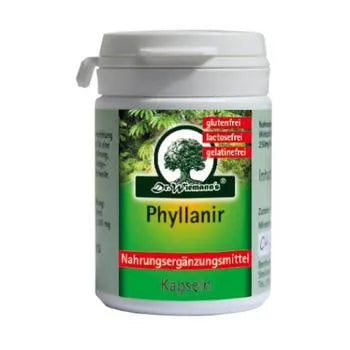 Gallstone dissolution agents, dissolution of kidney stones, Phyllanir Capsules