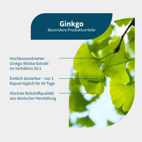 Ginkgo Biloba Extract (50:1), GINKGO CAPSULES - 2