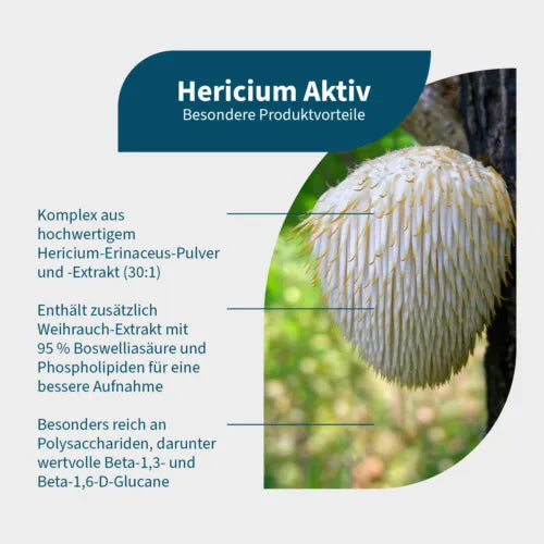 HERICIUM AKTIV, Boswellic acid - 3