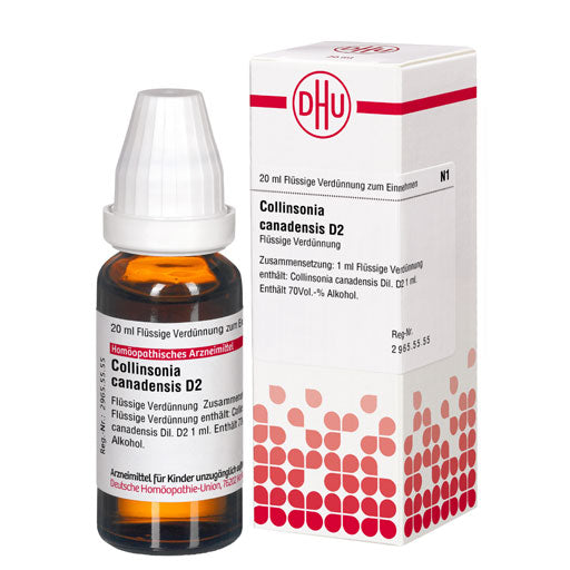 Hemorrhoids, COLLINSONIA CANADENSIS D 2 Dilution