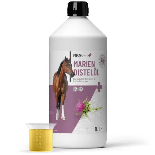 Horses health, Horse liver, REAVET Milk Thistle Oil