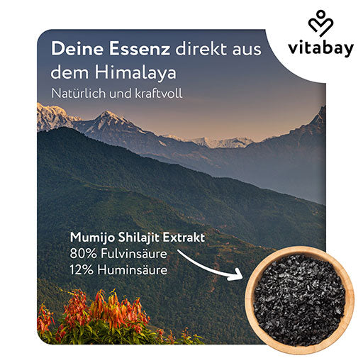 Liposomal Mumijo Shilajit 1000mg high-dose softgels, 120 tablets