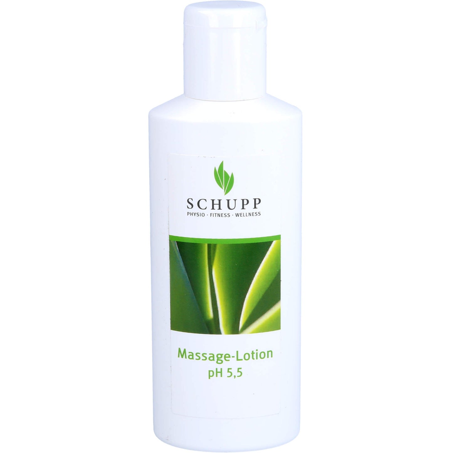 MASSAGE LOTION
