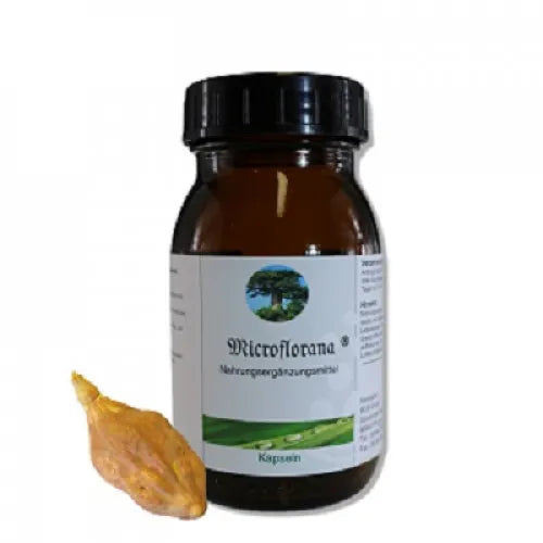 MICROFLORANA capsules 90 pcs