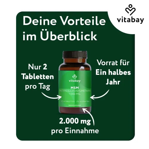 MSM 1000 mg methylsulfonylmethane vegan tablets 365 pcs