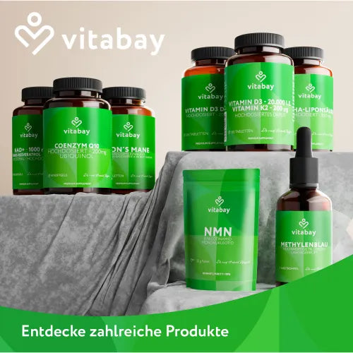MSM 1000 mg methylsulfonylmethane vegan tablets 365 pcs