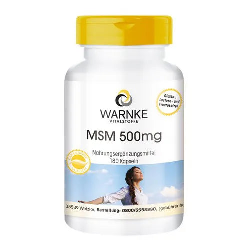 MSM 500 mg methylsulfonylmethane