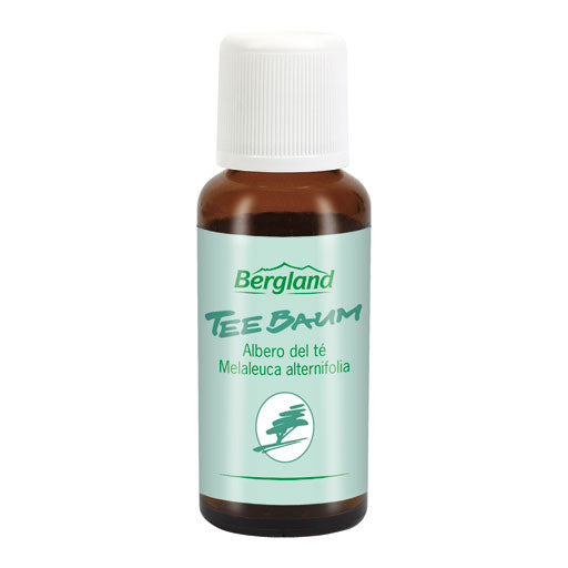 Melaleuca alternifolia TEA TREE OIL