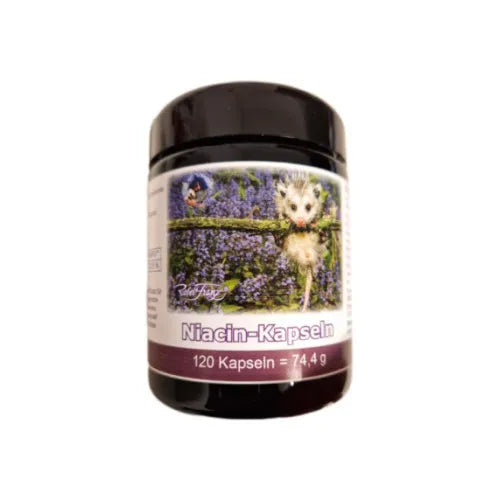 Niacin capsules 120 pcs