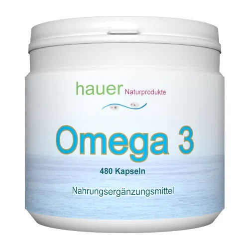 OMEGA-3 capsules family pack 480 pcs
