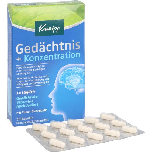 Panax Ginseng, memory + concentration capsules