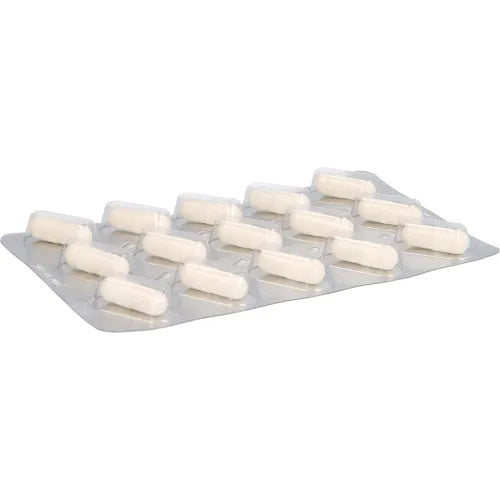Panax Ginseng, memory + concentration capsules
