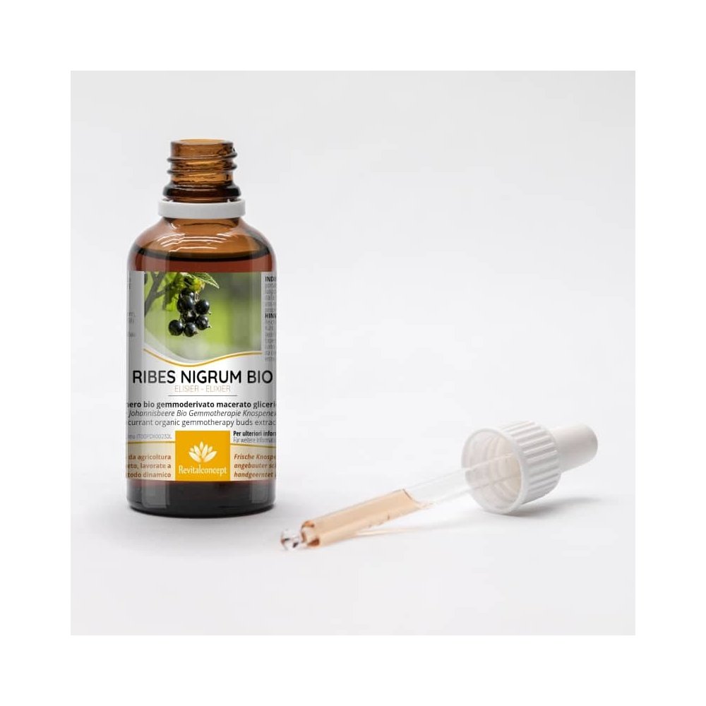 RIBES NIGRUM Blackcurrant Gemmotherapy Bud Extract Organic 50 ml