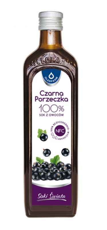RibesVital Black currant 100% fruit juice 490ml