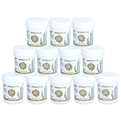 Schüssler Salts Set Senagold Tabl. No. 1- 12