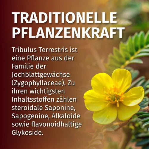 Tribulus Terrestris 2250 mg vegan capsules 120 pcs
