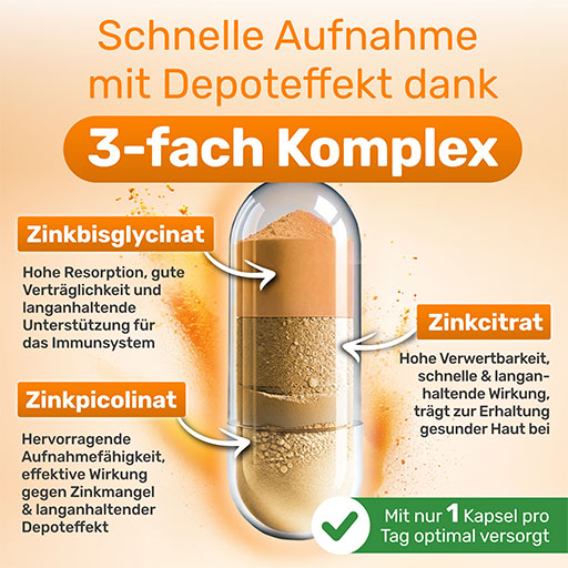 VEGAN Zinc Complex 25 mg High Dose Capsules 120 Capsules