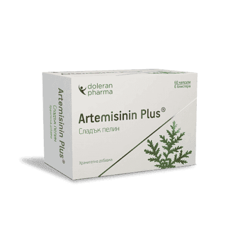 Artemisinin Plus - SWEET WORMWOOD 60 capsules, Artemisinin Plus UK
