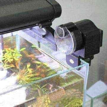 Automatic Fish Feeder UK