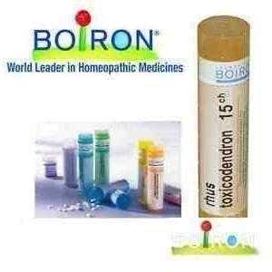 Boiron Rhus Toxicodendron, irritable, anxious, restless, delusional disorder UK