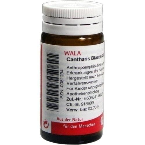 CANTHARIS BLADDER, chronic inflammation of the bladder, renal pelvis UK