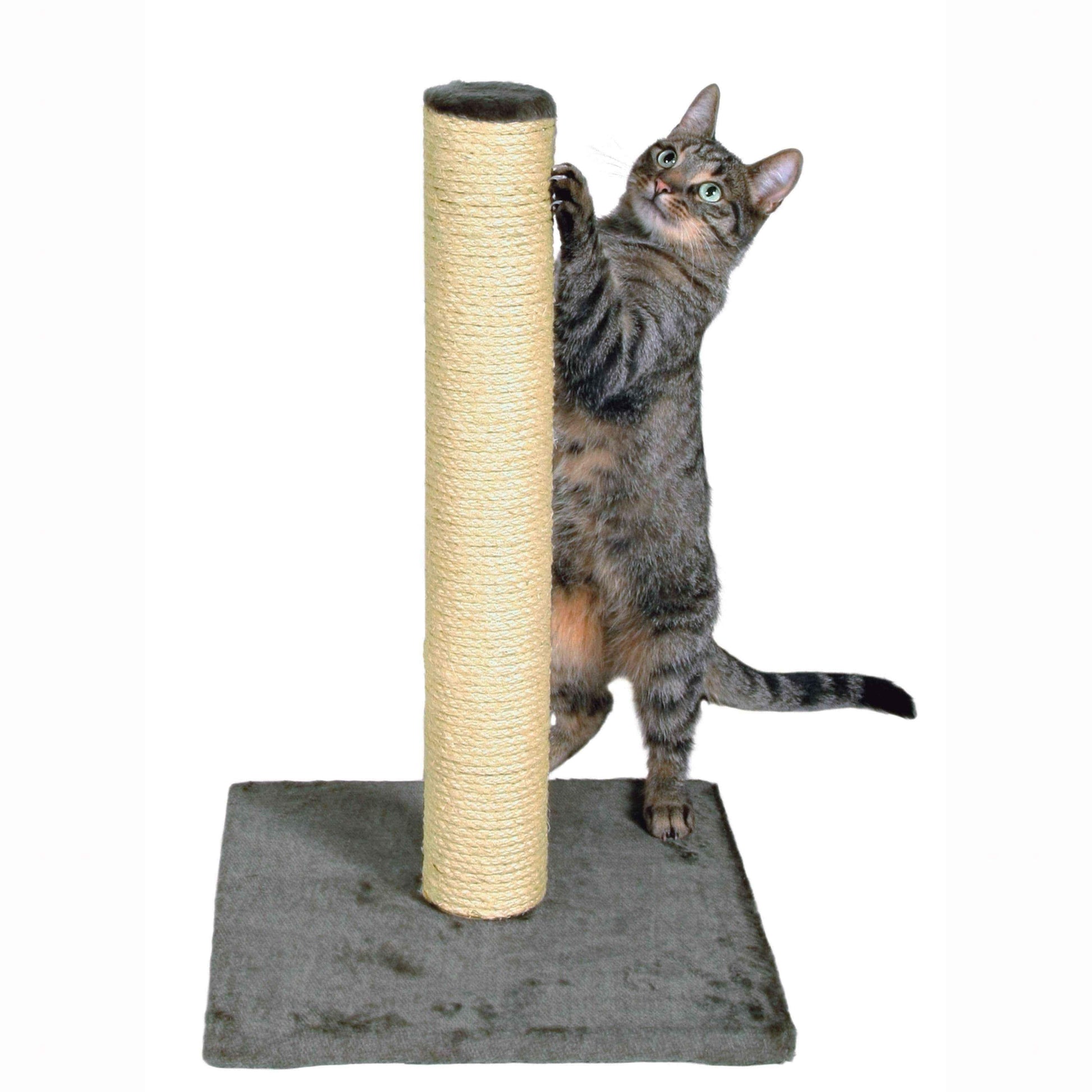 Cat scratching post UK