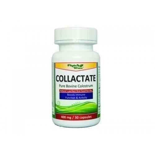 COLLACTATE, COLASTRUM, Colostrum 400mg. UK