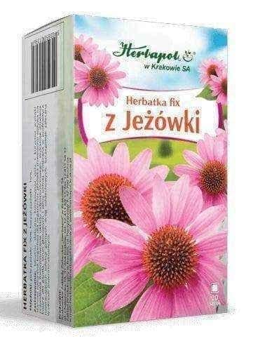 Echinacea Tea x 20 sachets UK