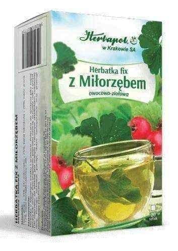 Fix tea Ginkgo biloba tea x 20 sachets UK