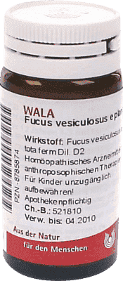FUCUS VESICULOSUS homeopathy, obesity, goitre UK