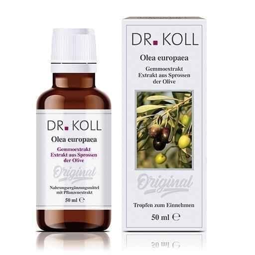 GEMMOEXTRACT Olive drops 50 ml Olea europaea UK