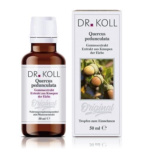 GEMMOEXTRAKT oak drops 50 ml Quercus pedunculata UK