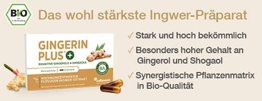 GINGERIN PLUS gingerol and shogaol capsules 60 pcs UK