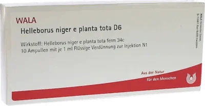 HELLEBORUS NIGER e planta tota D 6 ampoules UK